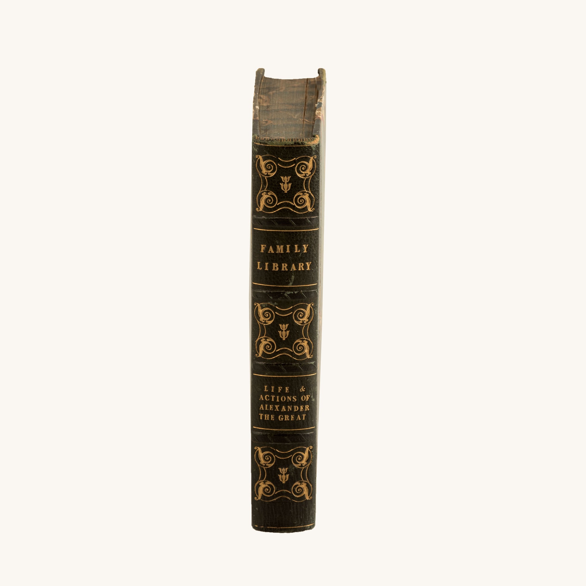 Alexander the Great