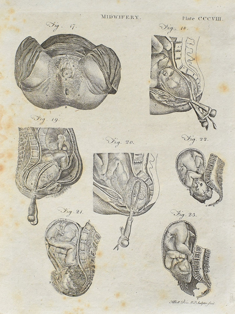 Obstetrics & Gynecology