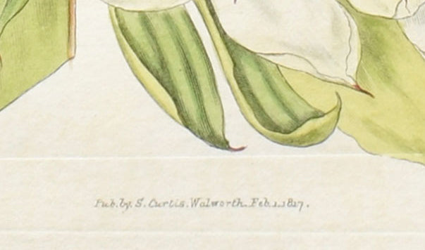 Decorative Flower