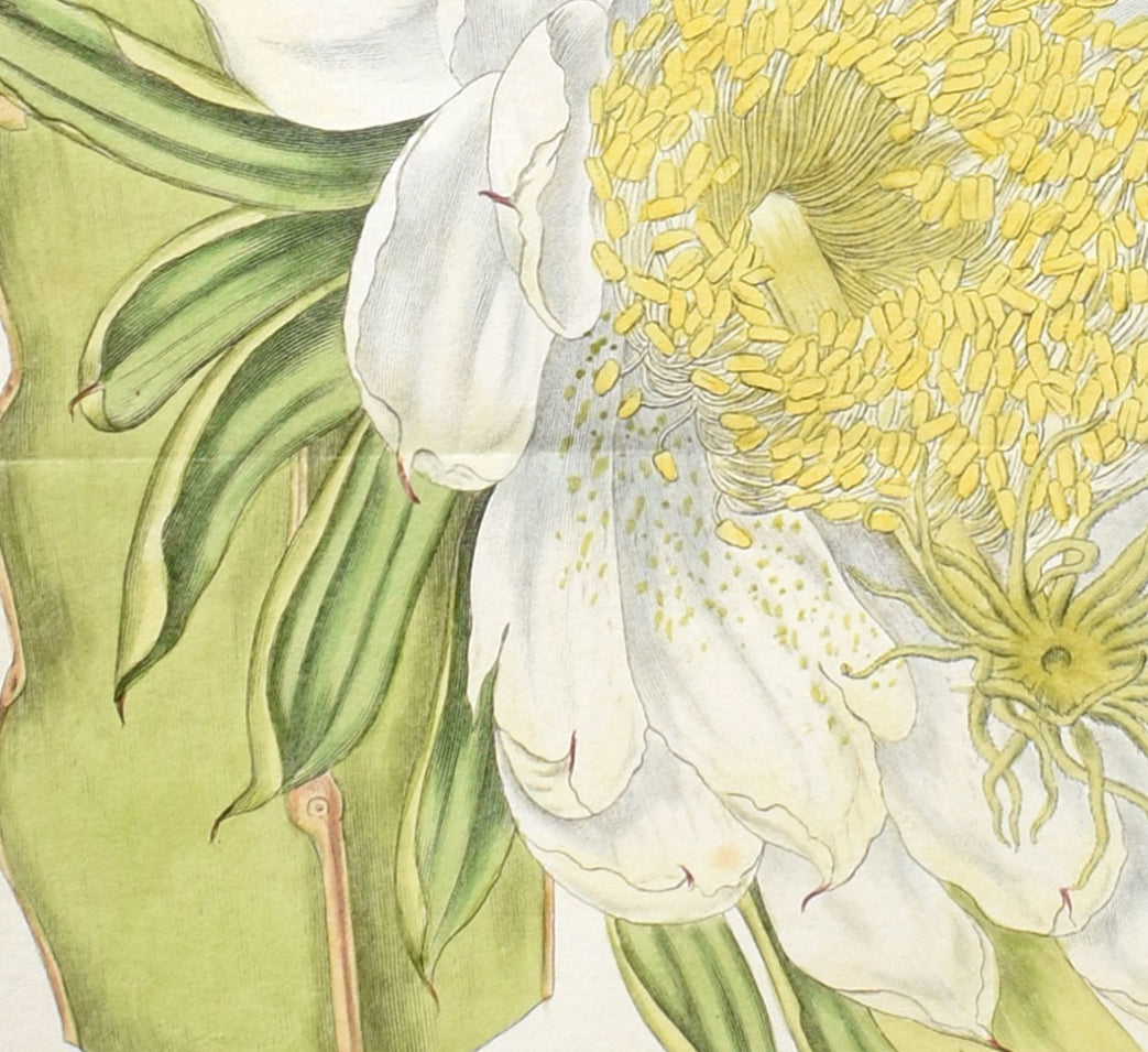 Decorative Flower