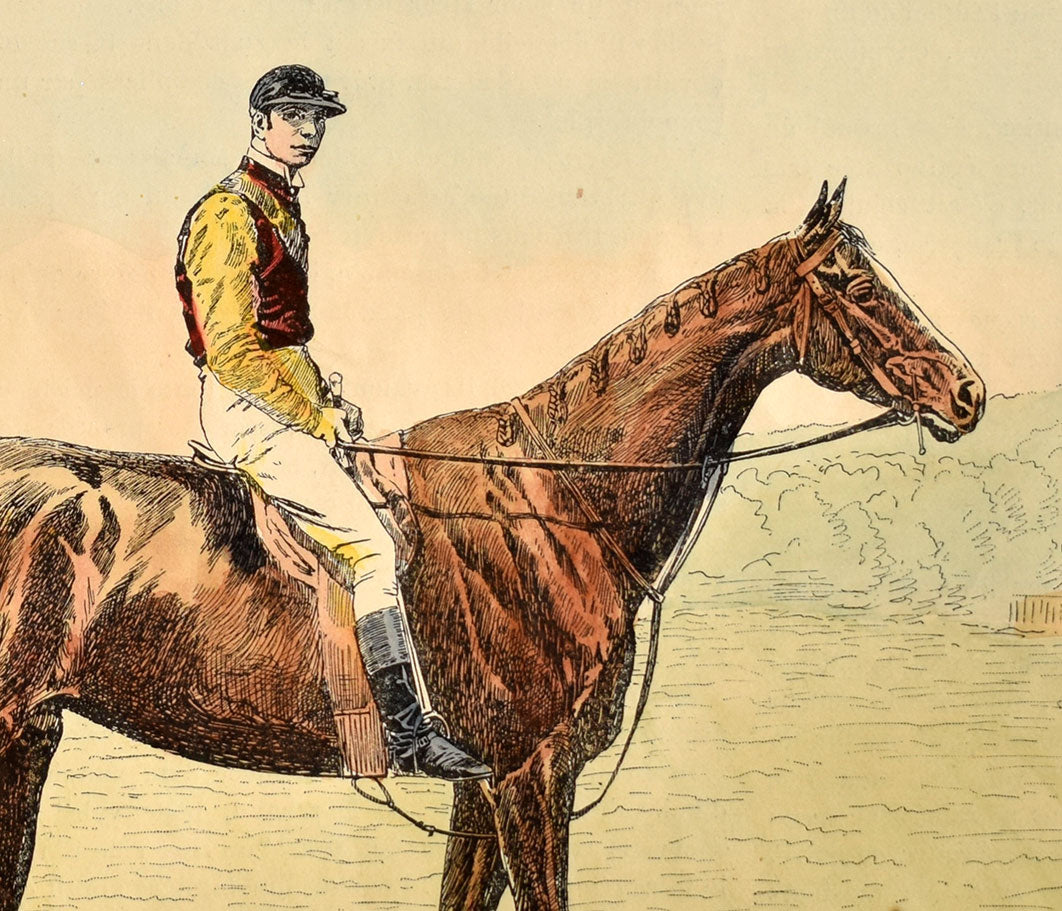 Horse