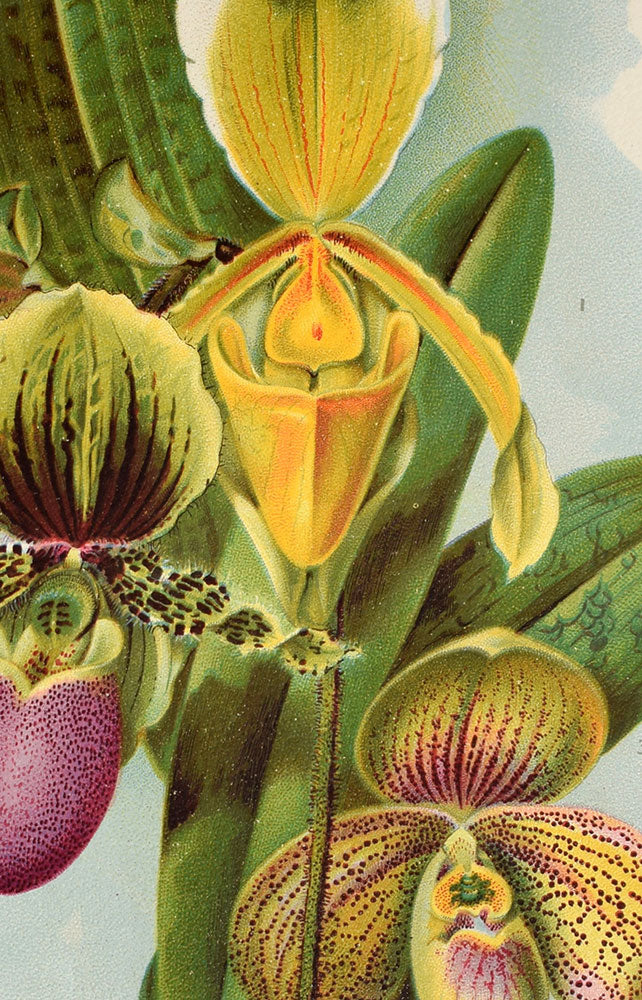Decorative Flower